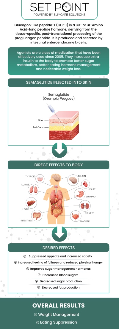 Discover how Semaglutide GLP-1 can help you lose weight in a transformational way and gain substantial help in weight loss by improving glucose regulation, opening the door to a happier, healthier existence. Before starting Semaglutide GLP-1 weight loss treatment, expect thorough discussions with our healthcare providers at Set Point Medical Weight Loss Clinic to assess eligibility and potential side effects. After treatment initiation, anticipate gradual weight loss coupled with lifestyle adjustments for optimal results and sustained health benefits. To learn more benefits, contact us or schedule an appointment online. We have convenient locations to serve you in Folsom, CA and Roseville, CA.